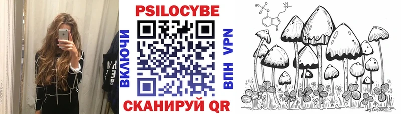 Псилоцибиновые грибы Psilocybe Судак